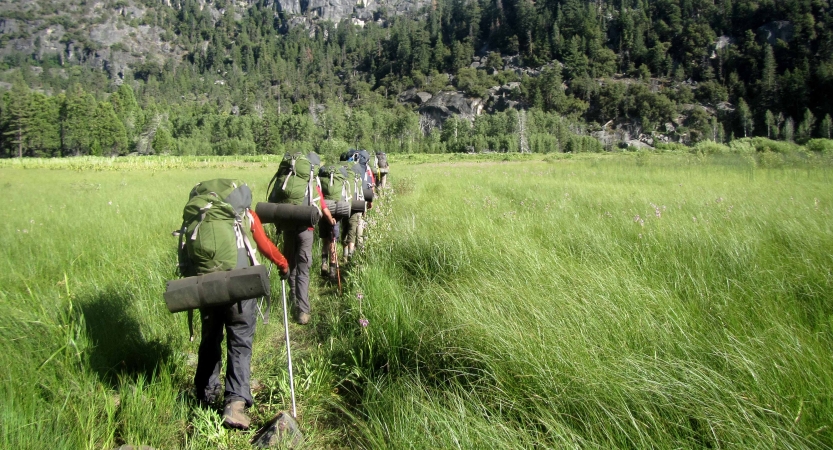 A group of backpackers hike through tall green grass. 